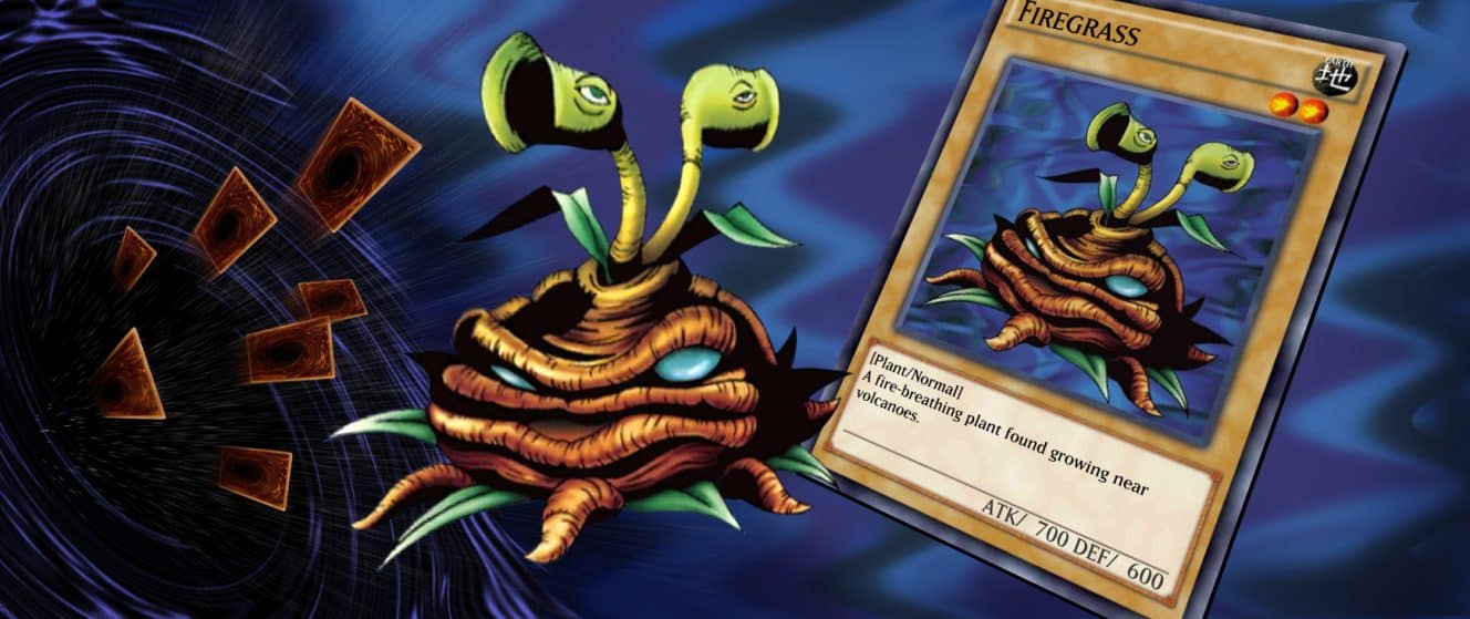 30 Funny, Terrifying and Weird Yu-Gi-Oh! Cards